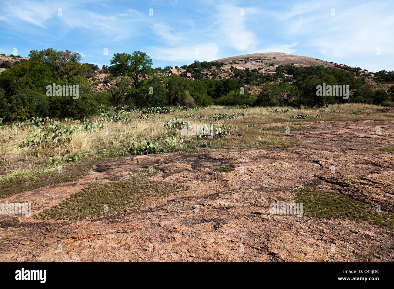 Dôme de granit dans la région de Enchanted Rock State Natural Area Texas USA Banque D'Images