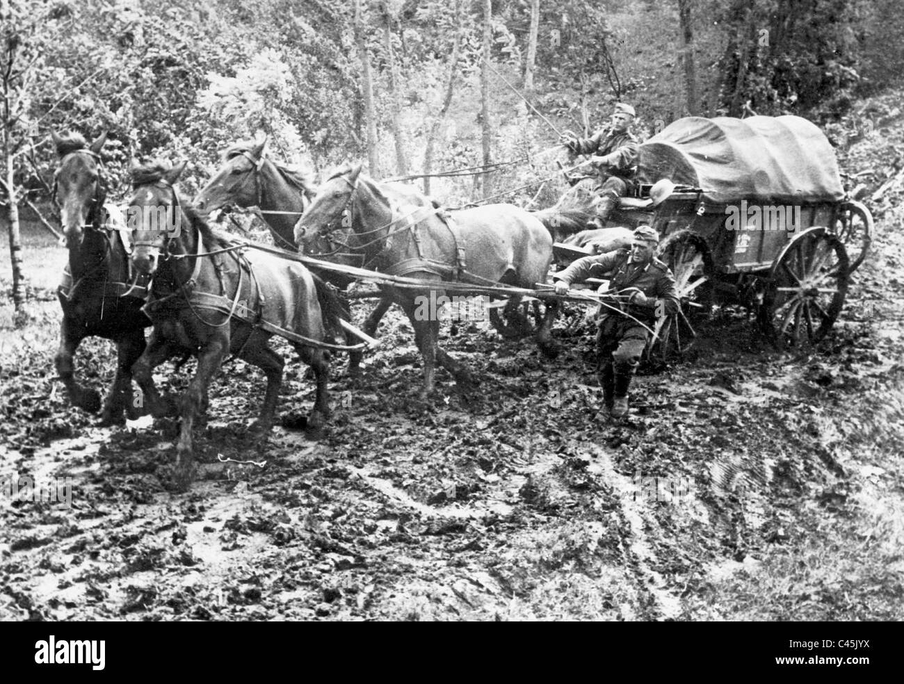 Soldats allemands avec un chariot à cheval sur le front de l'Est, 1941 Banque D'Images