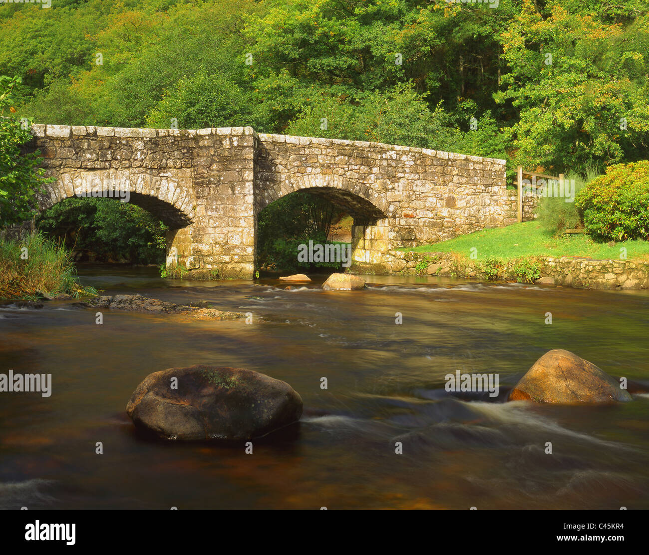 Royaume-Uni, Devon, Dartmoor, Fingle Bridge et River Teign. Banque D'Images