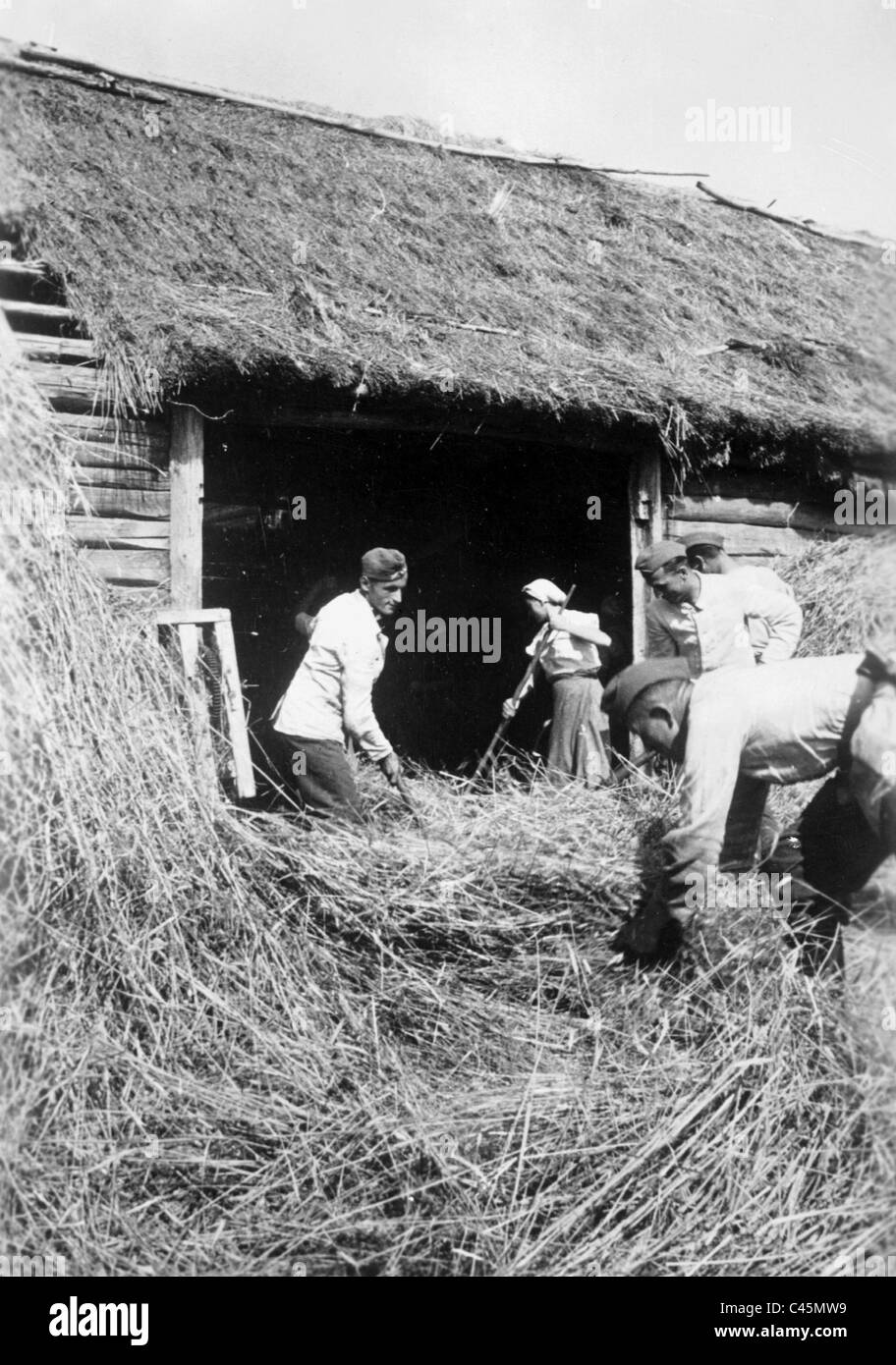 Soldat allemand avec un paysan de foin derrière le front de l'Est, 1942 Banque D'Images