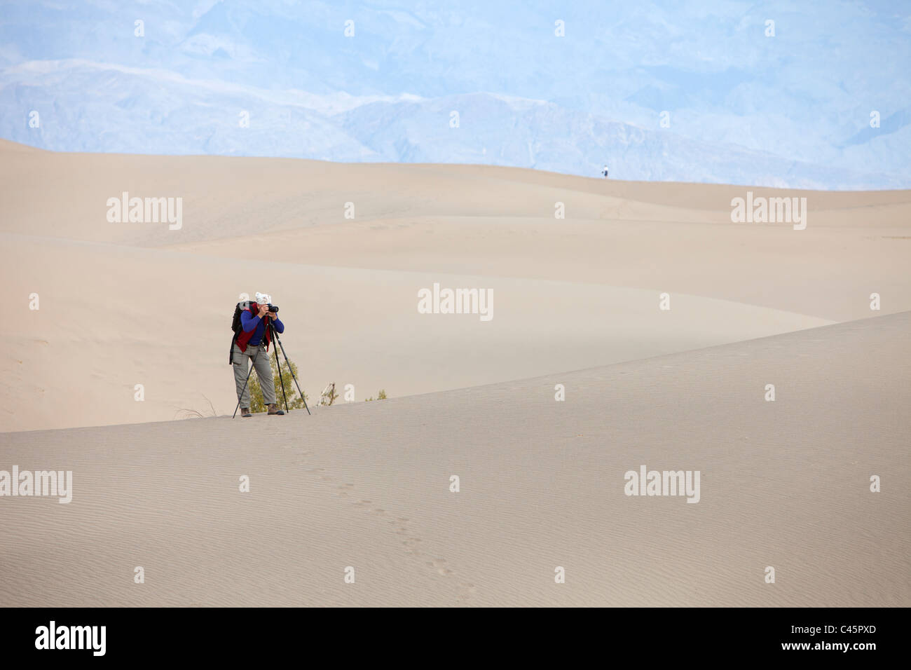 Photographe à Mesquite Sand Dunes, Death Valley National Park, Californie Banque D'Images