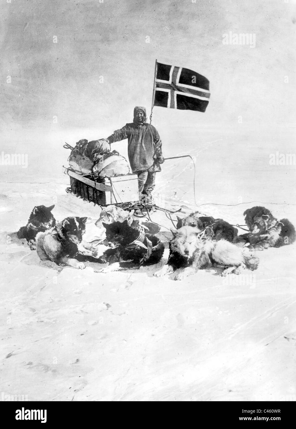 Roald Amundsen au pôle Sud, 1911 Banque D'Images