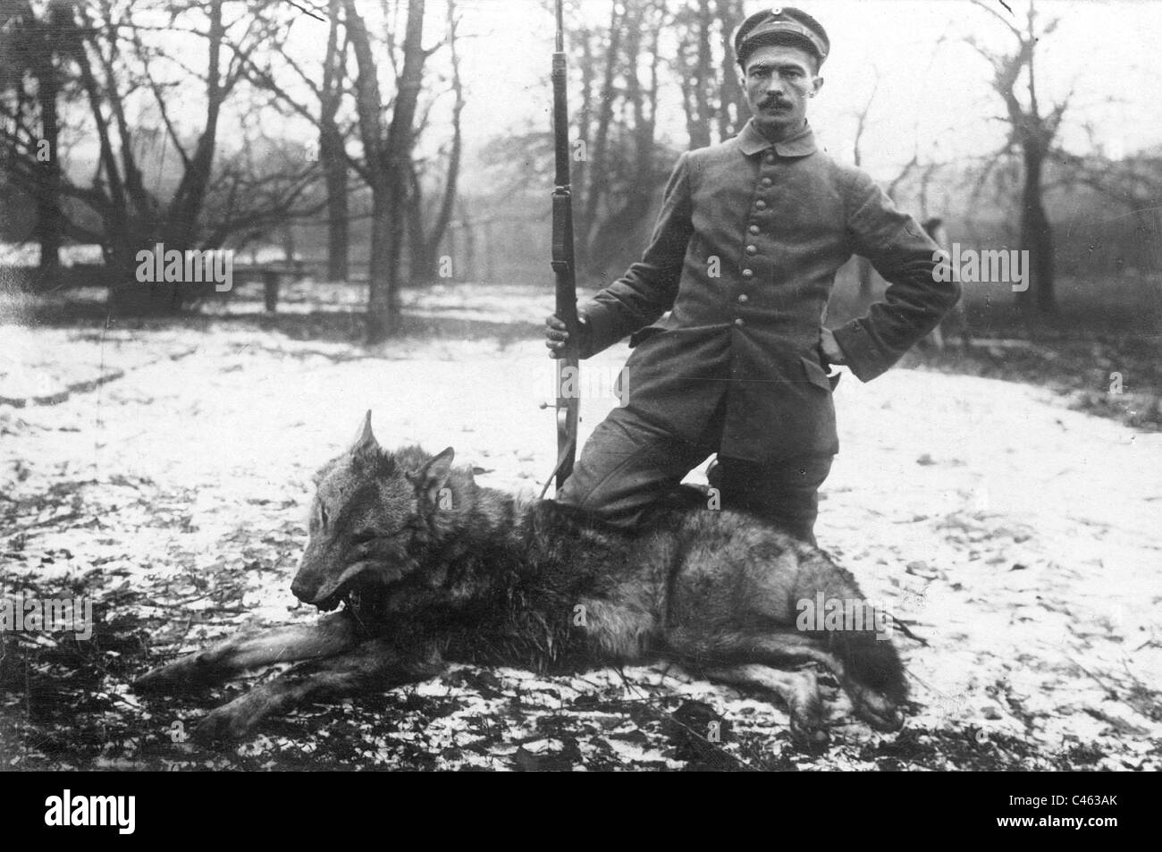 Soldat allemand avec un loup abattu, 1916 Banque D'Images