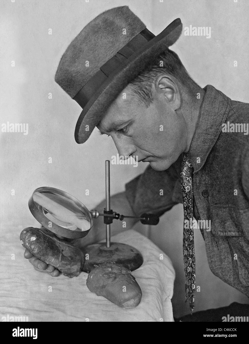 Roy Chapman Andrews examine les oeufs de dinosaures, 1924 Banque D'Images