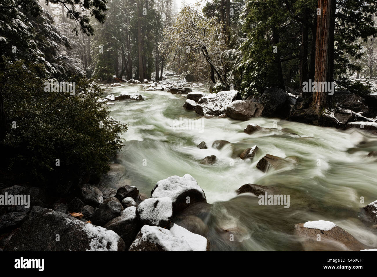 Tranquille, pittoresque romantique slow motion Avis de déménagement rapide river l'eau de ruissellement de la fonte des neiges au printemps et neige fraîchement tombée, Yosemite National Park USA Banque D'Images