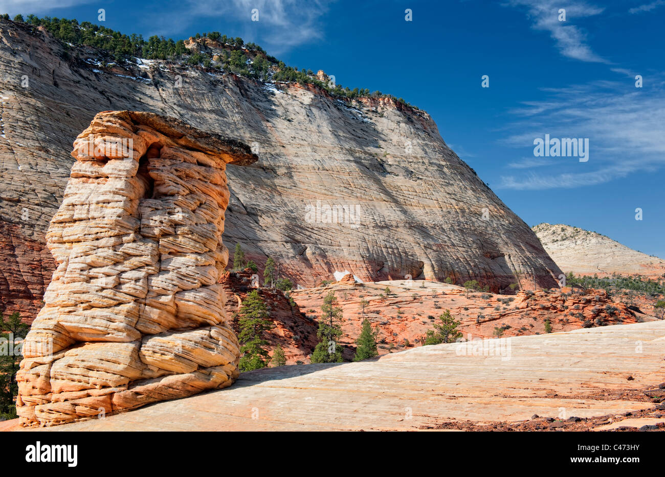 Monolithes de grès Navajo et érodé les cheminées en forme de dominer le côté est de l'Utah Zion National Park. Banque D'Images