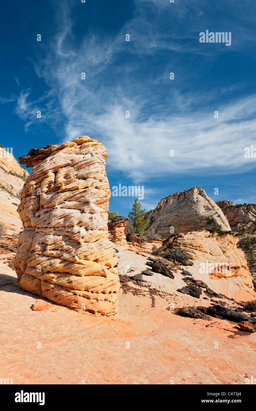 Le côté est de l'Utah Zion National Park contient de nombreux Monolithes de grès Navajo et érodé hoodoos en forme. Banque D'Images