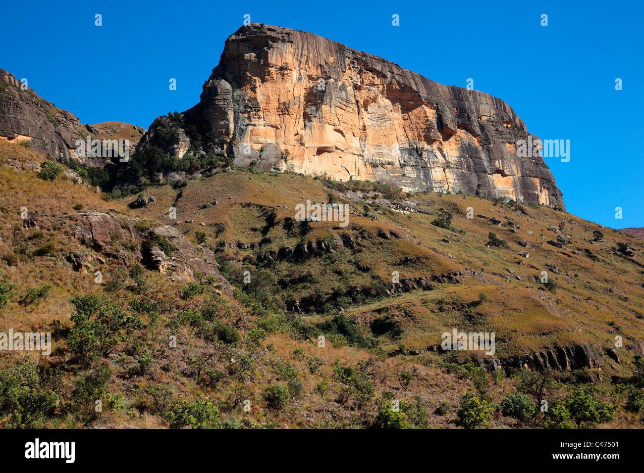 Rocher de grès, montagnes du Drakensberg, Parc national royal Natal, Afrique du Sud Banque D'Images