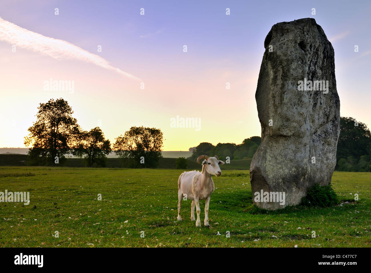 Les pierres d'Avebury - Wiltshire Banque D'Images