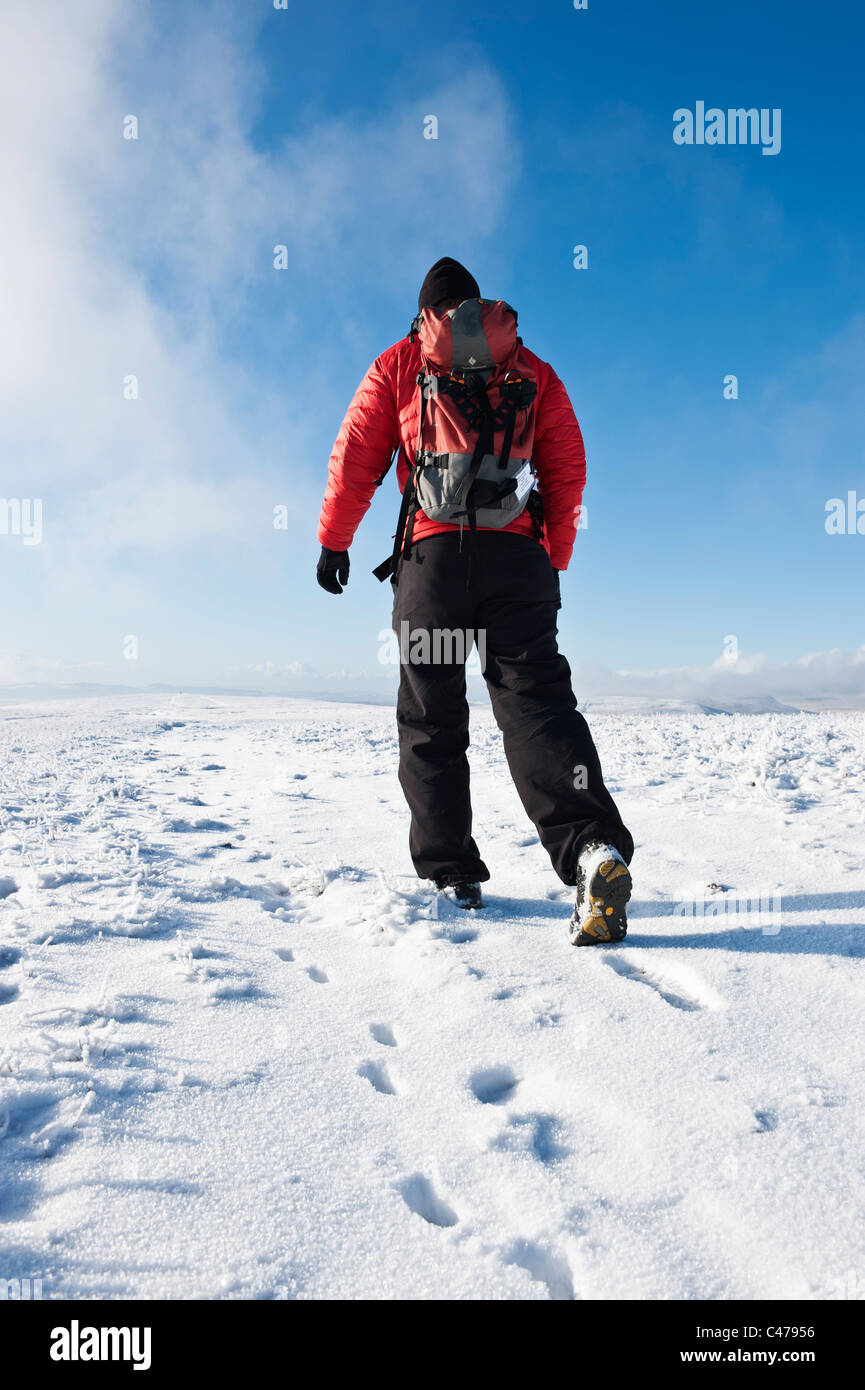 Winter Hill walker sur plateau sommital de Fan Fawr, parc national de Brecon Beacons, le Pays de Galles Banque D'Images