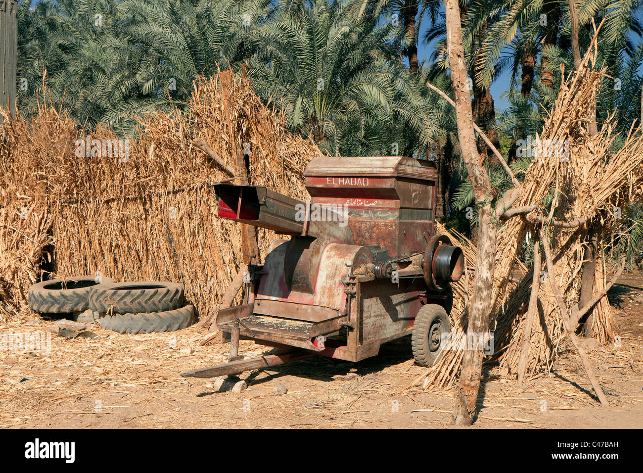 Batteuse foin traditionnel Banque D'Images