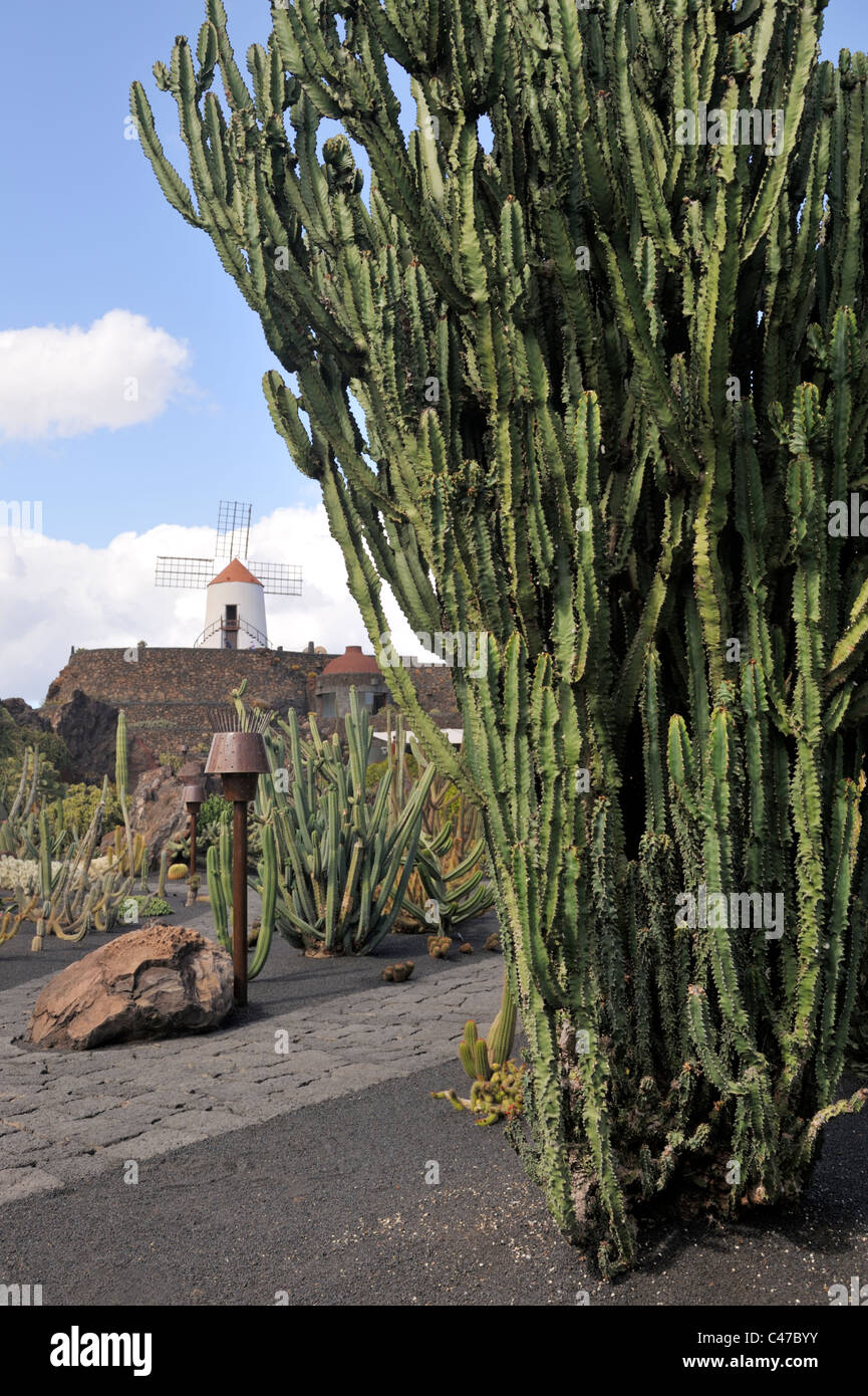 Jardin de cactus (Jardín de cactus), 'Lanzarote Canaries Banque D'Images