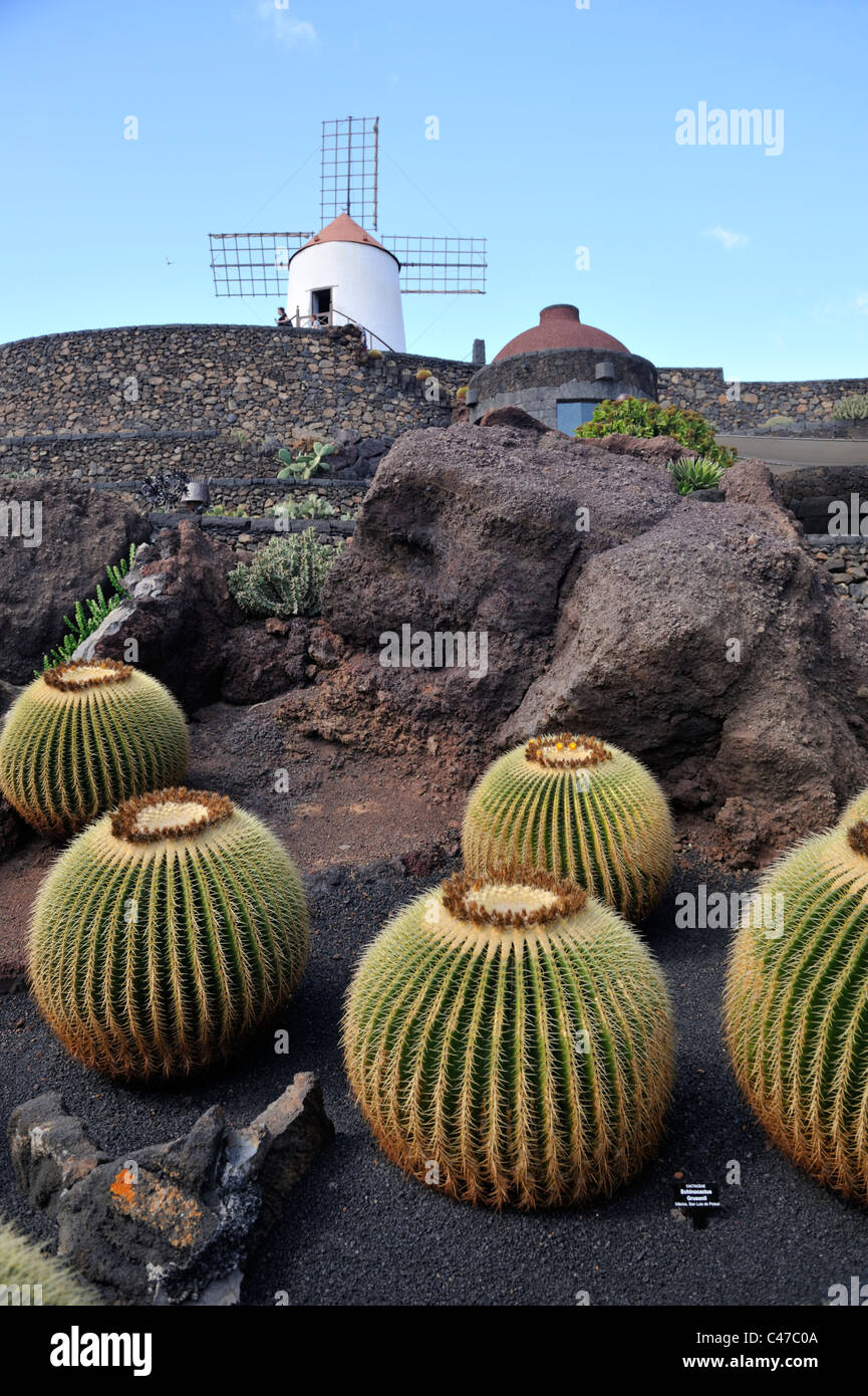 Jardin de cactus (Jardín de cactus), 'Lanzarote Canaries Banque D'Images