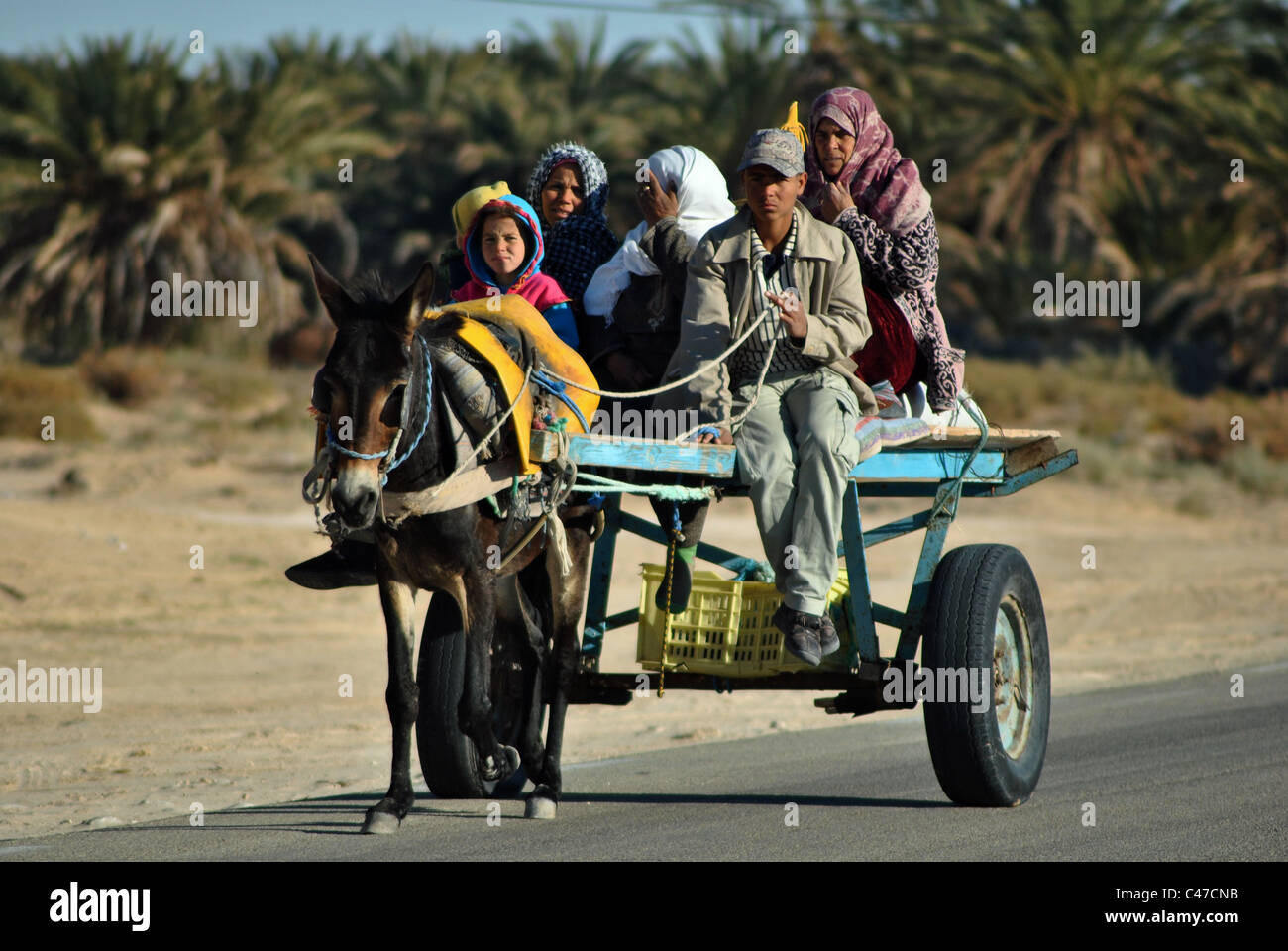 Famille voyageant par charrette à âne près de Douz, Tunisie Banque D'Images