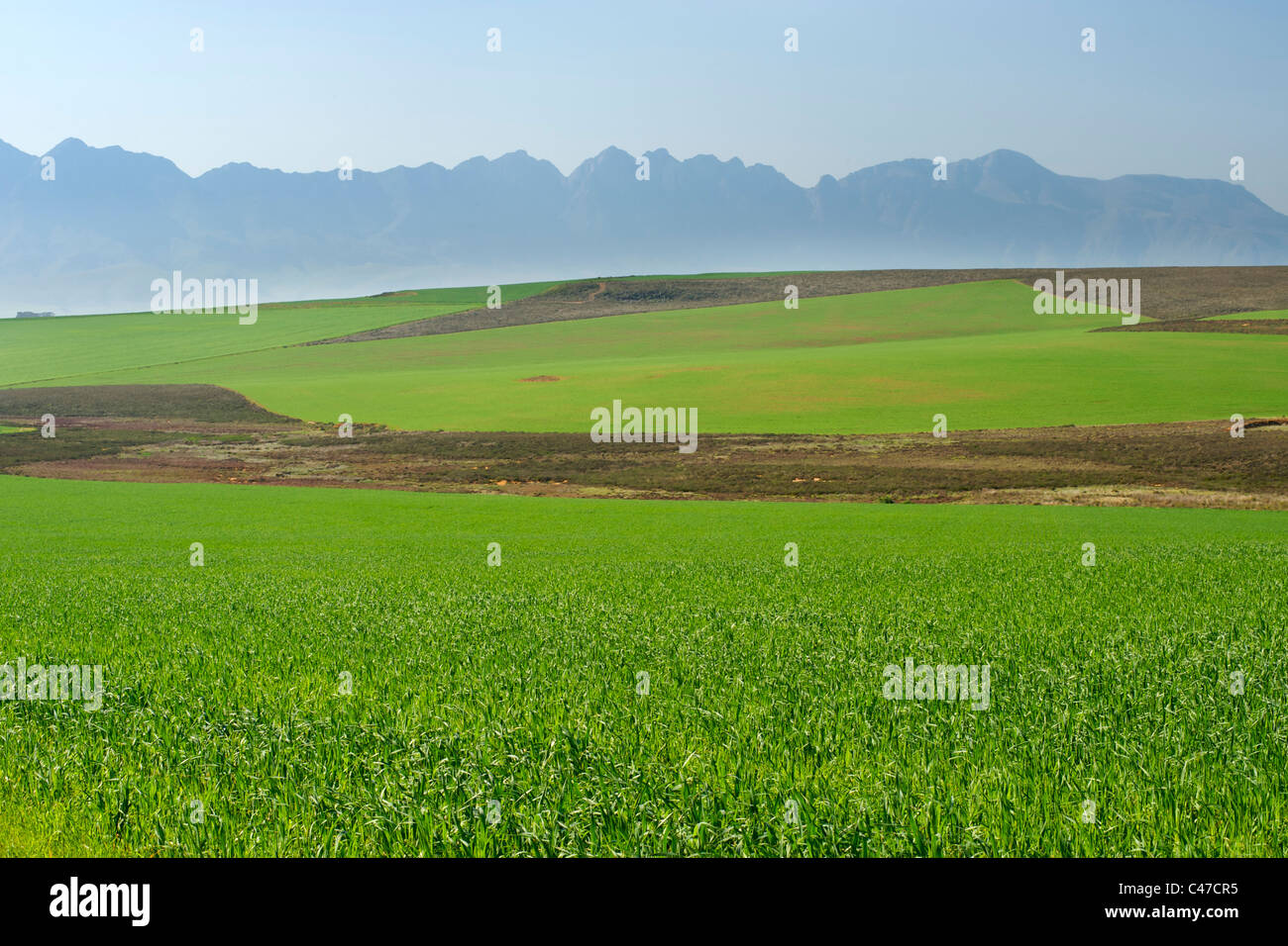 Voir de champs agricoles et la chaîne de montagnes Langeberg de l'autoroute N2 dans l'ouest de l'Afrique du Sud de la Province du Cap. Banque D'Images