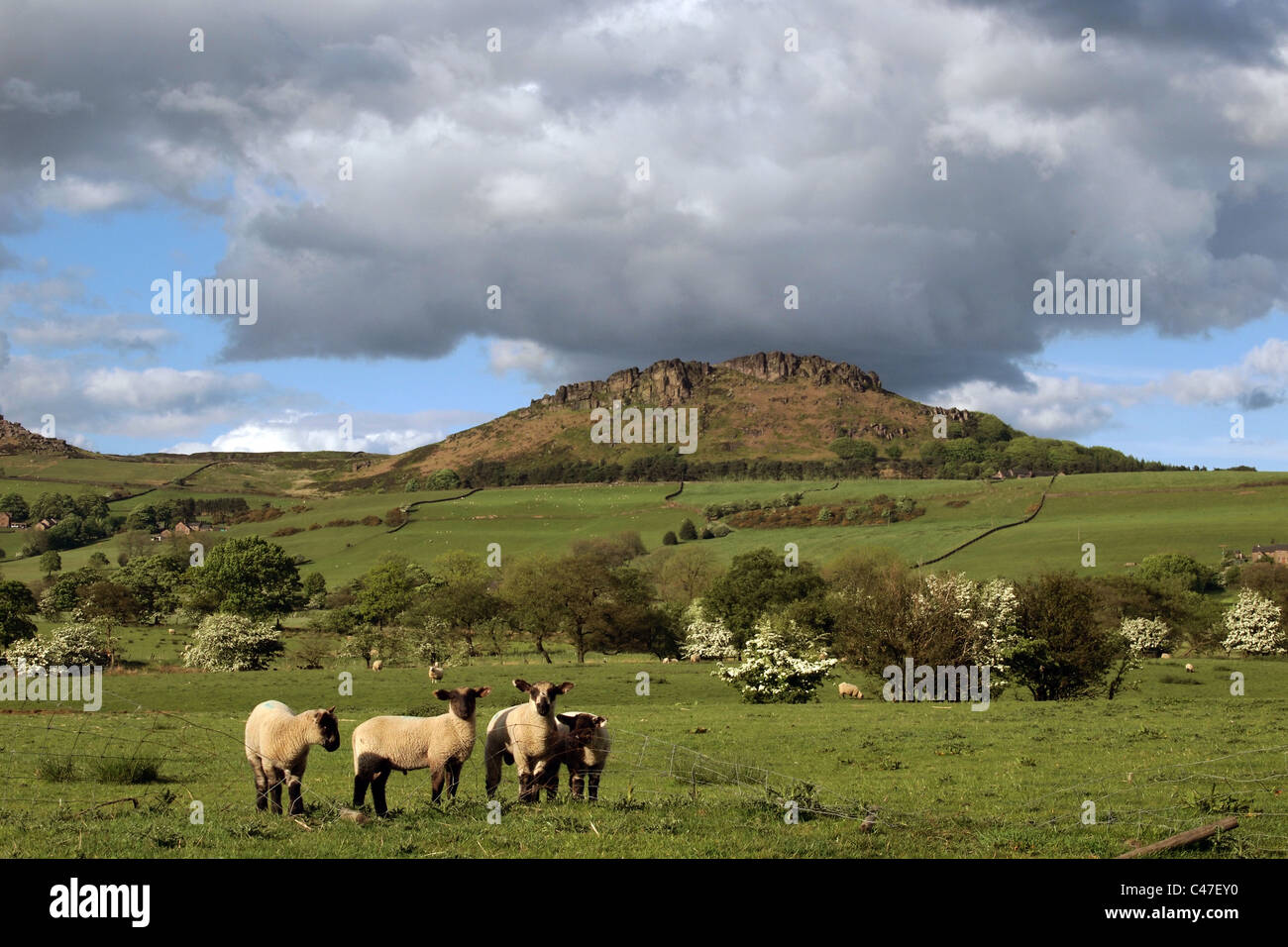 Hen Cloud dans les blattes, pierre meulière rocheux imprenable dans le Staffordshire Moorlands. Peak District. L'Angleterre, Grande-Bretagne Banque D'Images