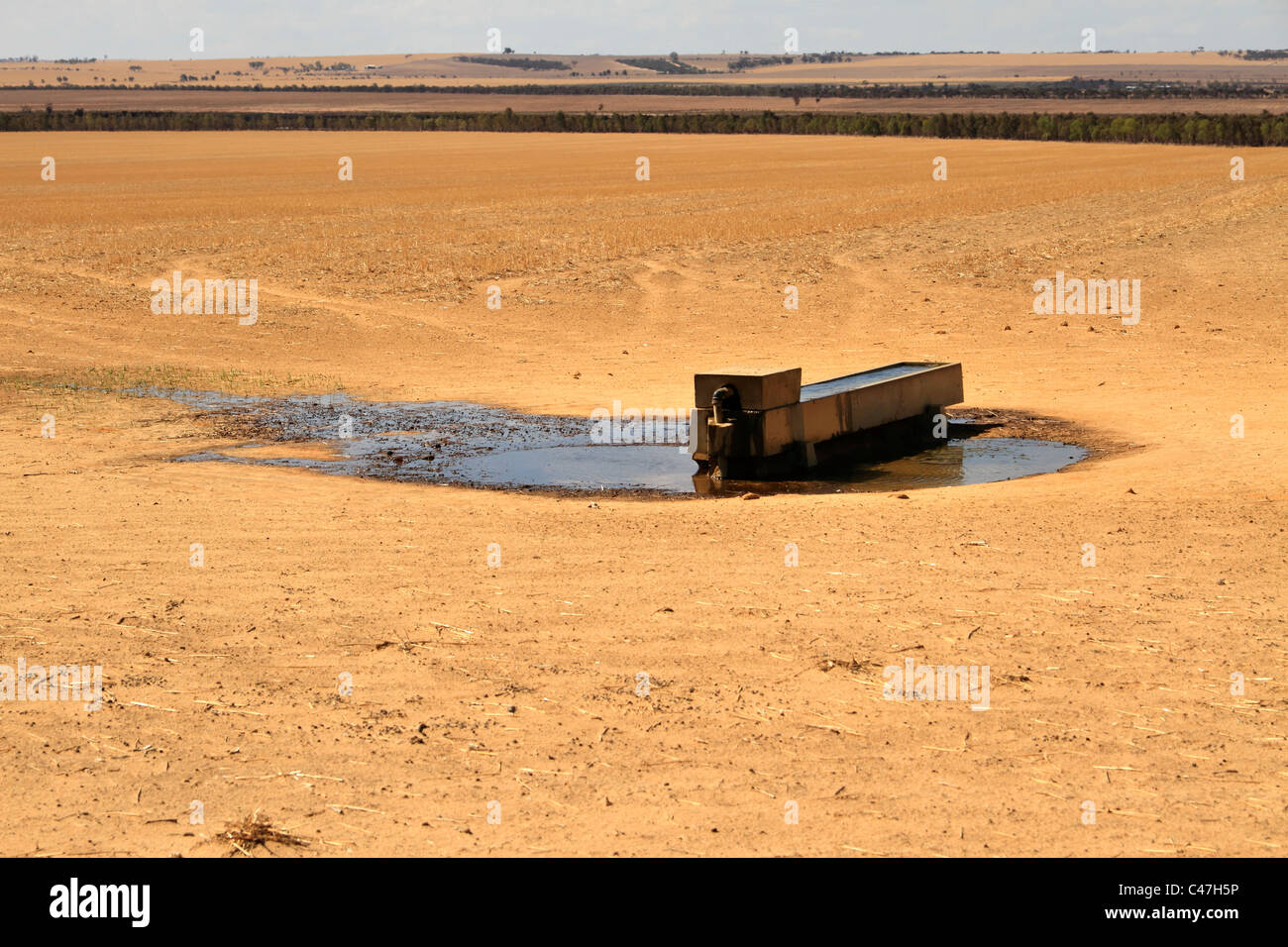 Creux de l'eau sur les terres agricoles, le blé Central Belt, ouest de l'Australie Banque D'Images