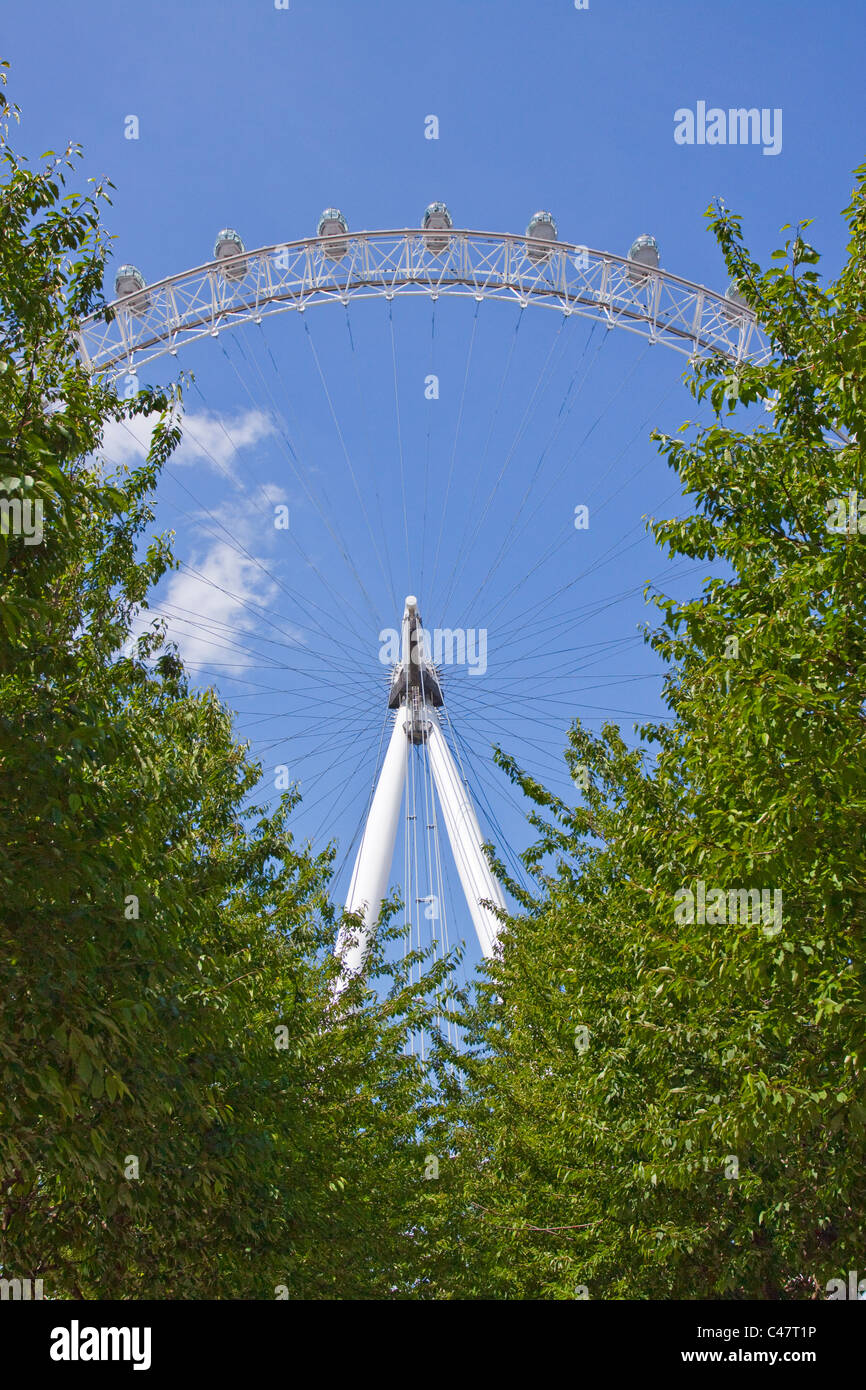 Le London Eye sur la rive sud de la Tamise à Londres. Une attraction touristique très populaire. Banque D'Images