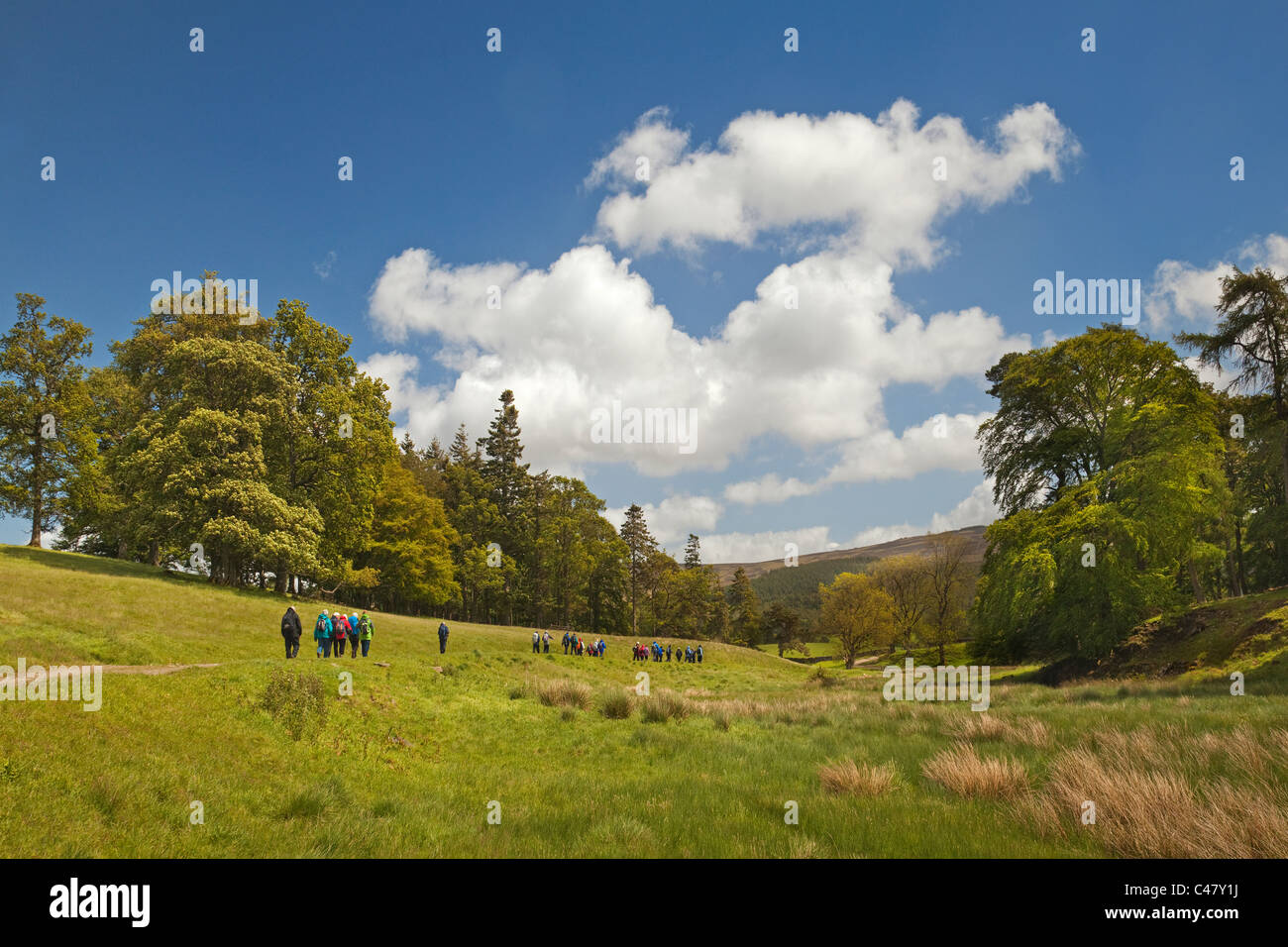 Un club de randonnée sur l'approche de Stobo John Buchan Way Banque D'Images
