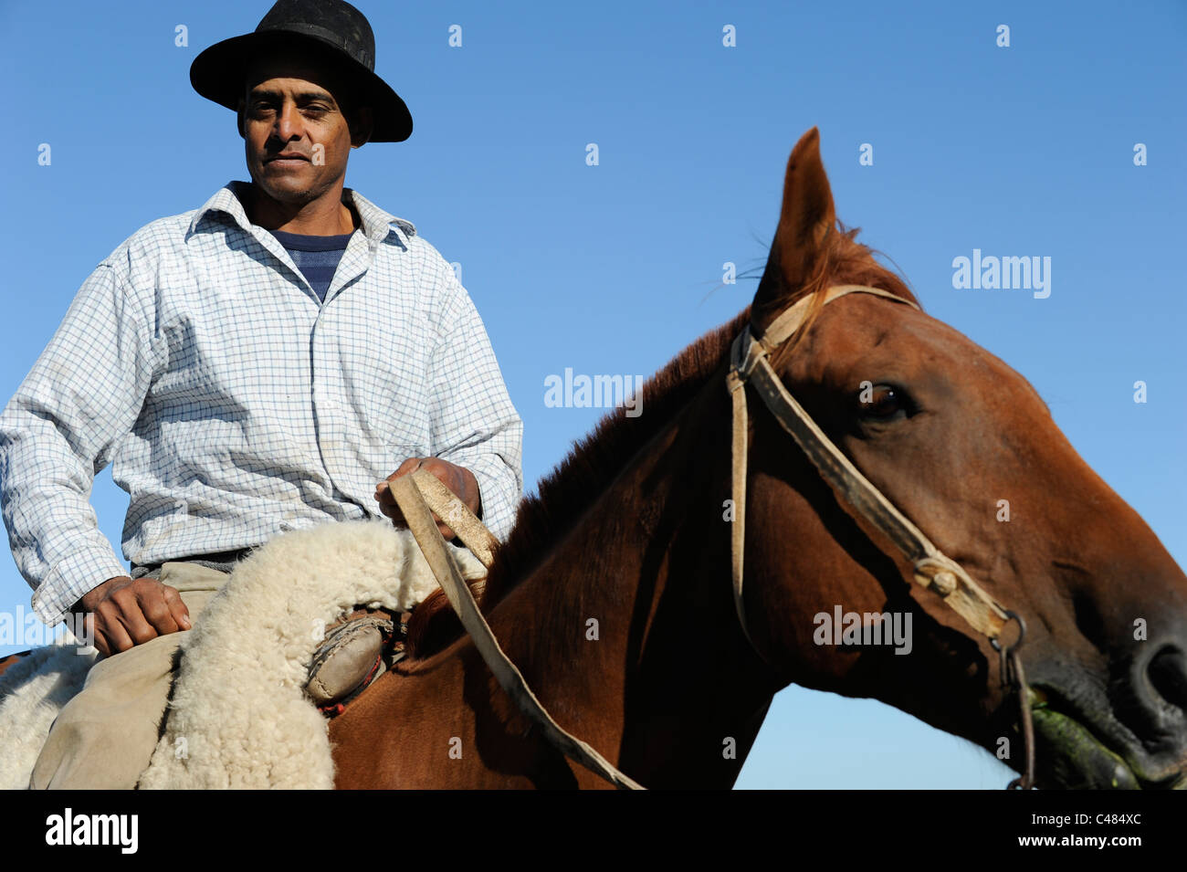 L'URUGUAY L'agriculture et de l'élevage , cheval avec Gaucho Banque D'Images