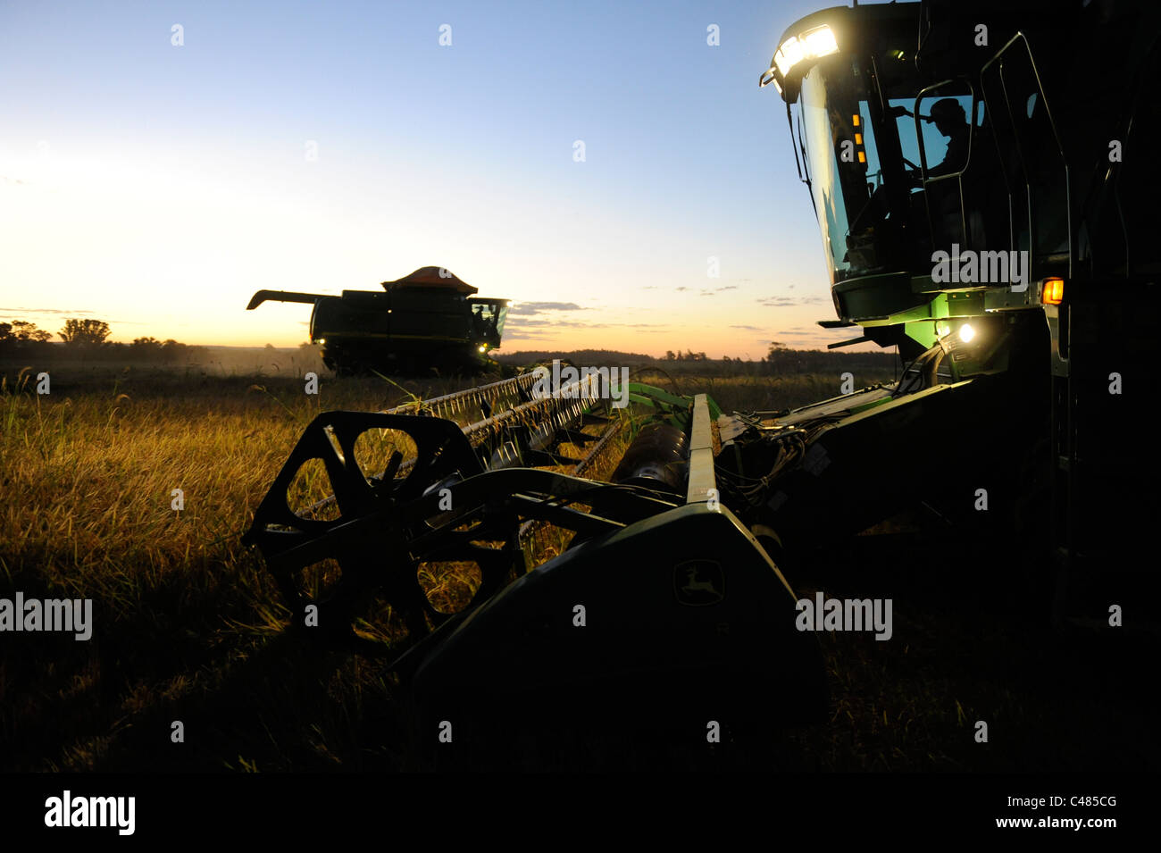 L'URUGUAY Bella Uniòn , 2100 hectares ferme près de fleuve Uruguay, la récolte de riz avec une moissonneuse-batteuse John Deere Banque D'Images