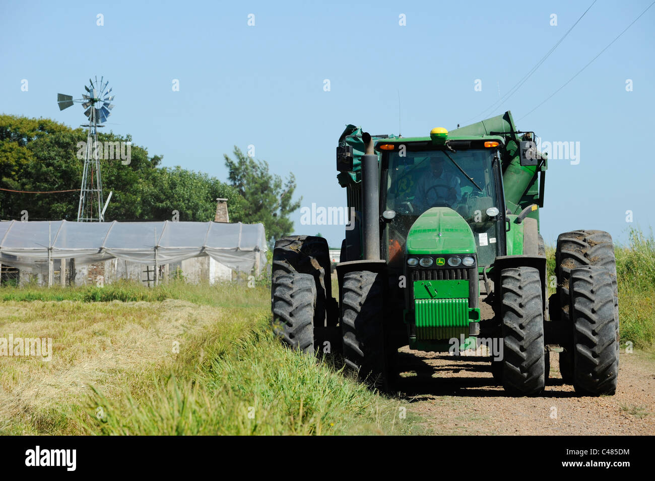 L'URUGUAY Bella Uniòn , 2100 hectares ferme près de fleuve Uruguay, du transport du riz au cours de la récolte avec un tracteur John Deere Banque D'Images