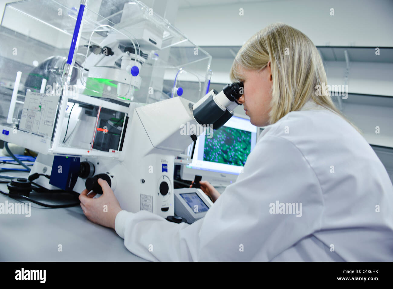 Jeune blonde female scientist sarrau blanc puissant microscope dans un laboratoire de sciences bien éclairée sur l'écran de l'ordinateur des images de cellules Banque D'Images