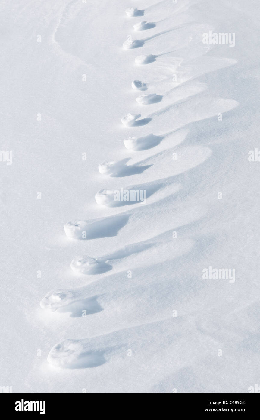 Par Winderosion erzeugte Strukturen im Schnee, Norrbotten, Laponie, Schweden Maerz 2010 ; Banque D'Images