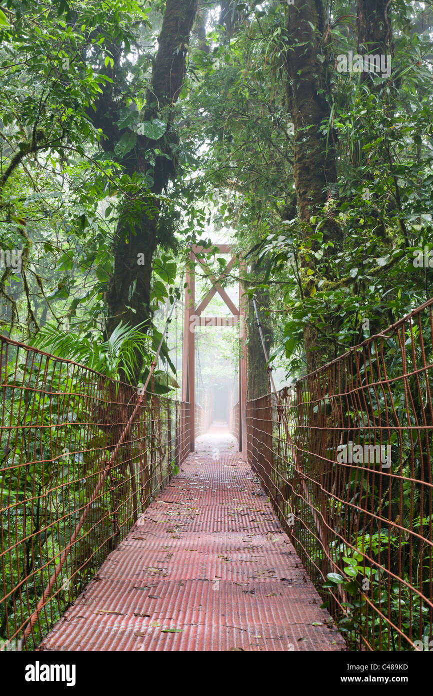Préserver la forêt nuageuse de Monteverde. Costa Rica Banque D'Images