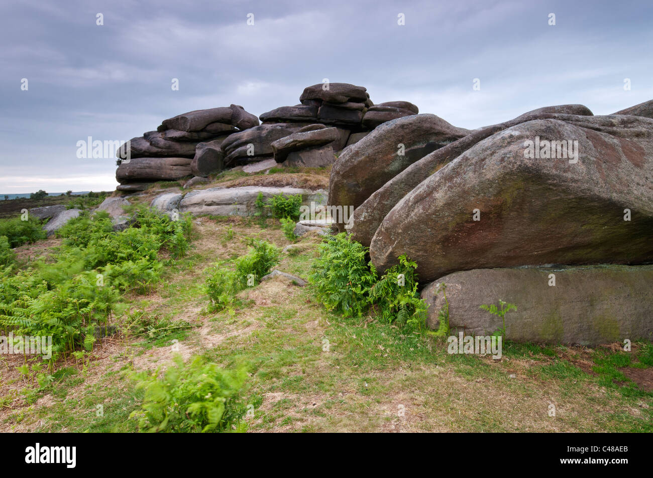 Les roches et les jeunes fougères vert à Owler Tor, le Peak District, Derbyshire, juin 2011. Banque D'Images