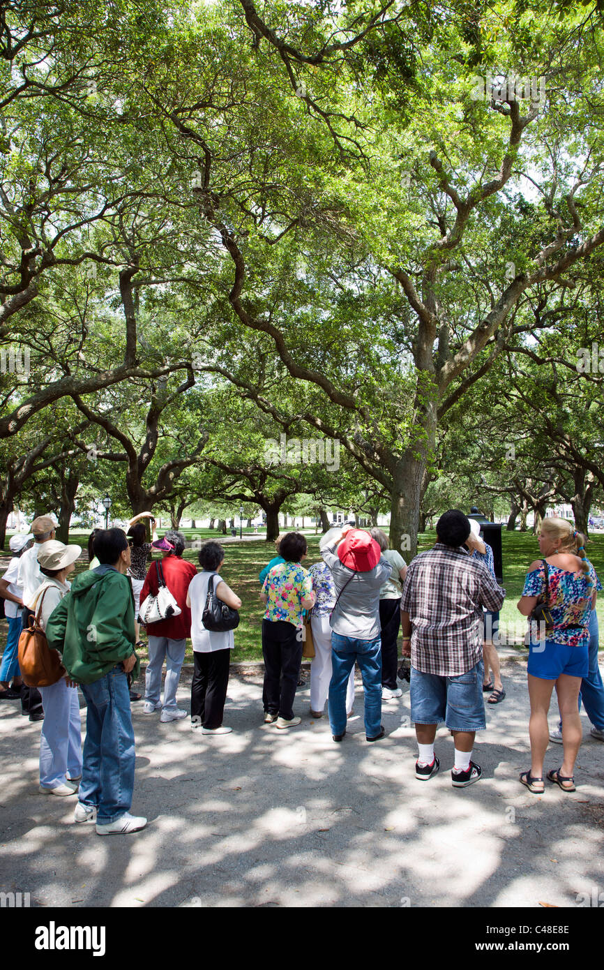 Les touristes japonais à la recherche jusqu'à chênes vivent dans le Battery Park, extrémité sud de la péninsule dans la ville historique de Charleston, SC, États-Unis d'Amérique Banque D'Images