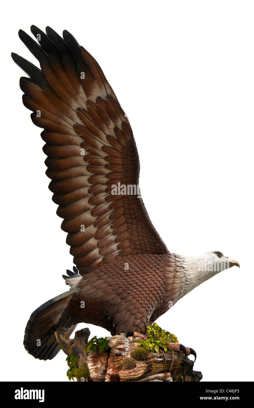 Statue de l'aigle, le symbole de l'île de Langkawi, Malaisie. L'image est isolé sur fond blanc. Banque D'Images