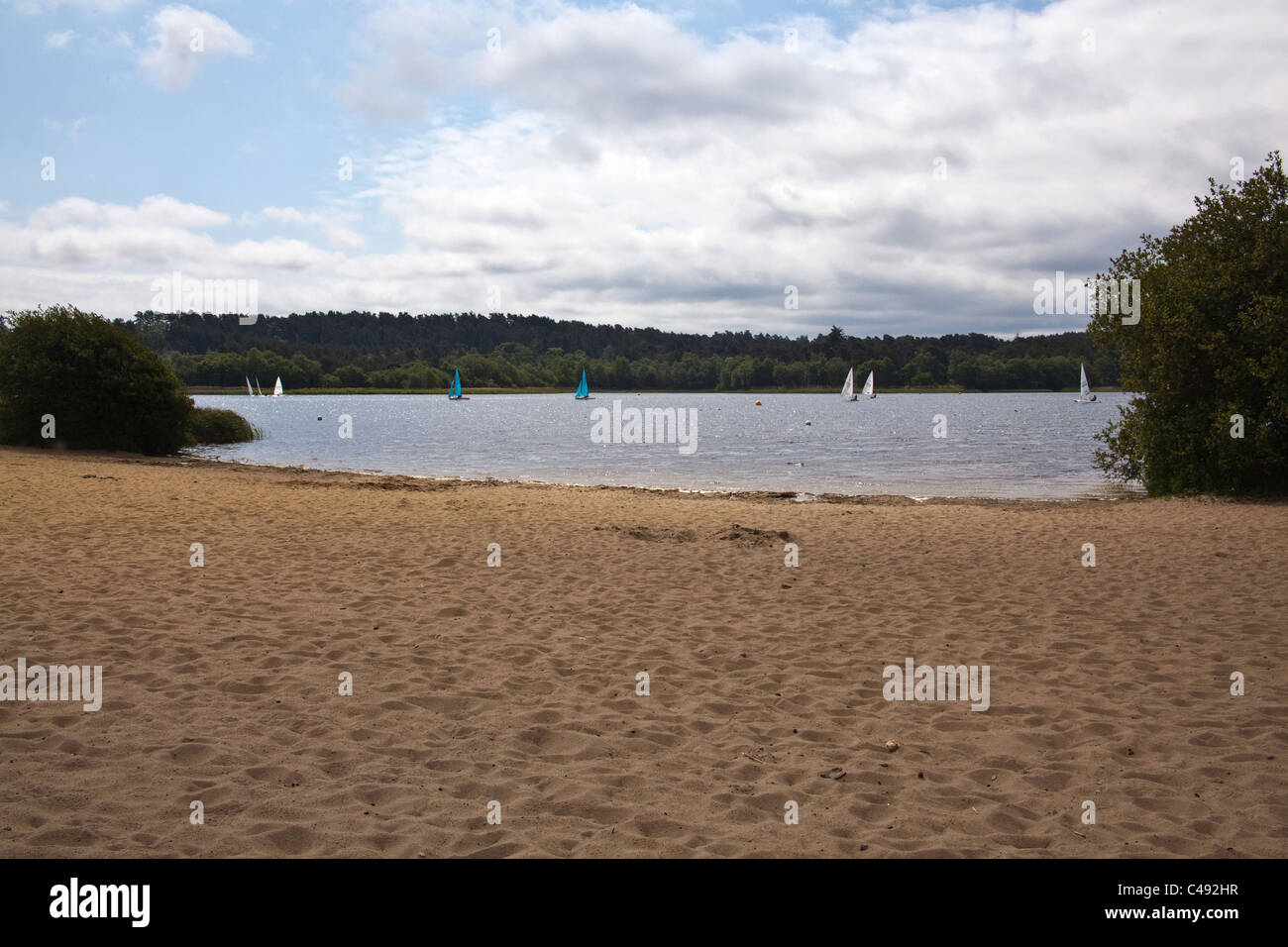 Grand Frensham Great Pond. Churt, près de Farnham, Surrey. United Kingdom. Banque D'Images