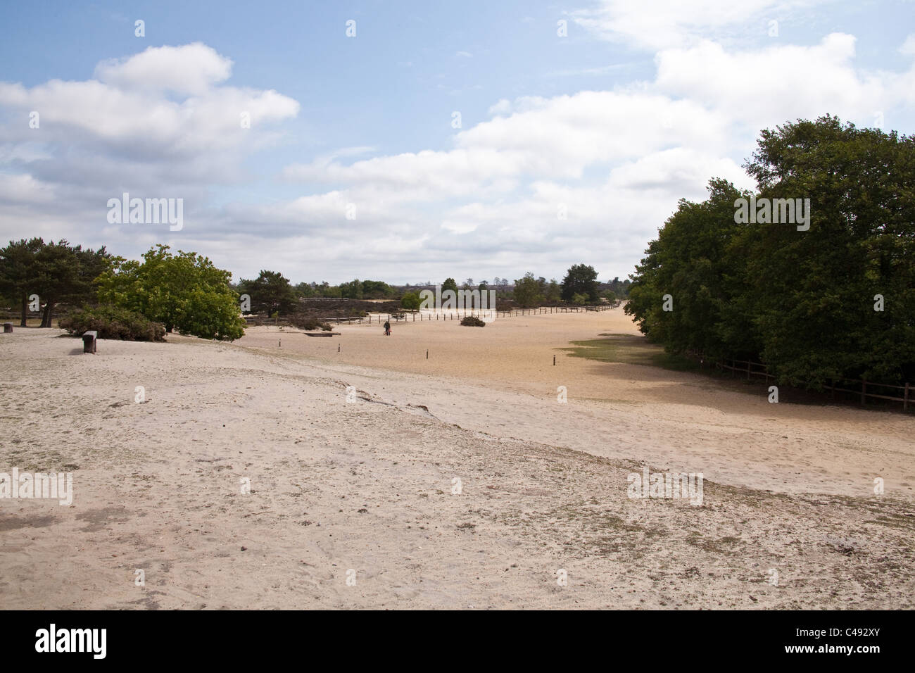 Grand Frensham Great Pond. Churt, près de Farnham, Surrey. United Kingdom. Banque D'Images