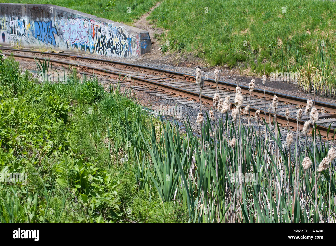 Une section courbe de railroad train tracks avec fait des graffitis sur le mur en arrière-plan. Banque D'Images