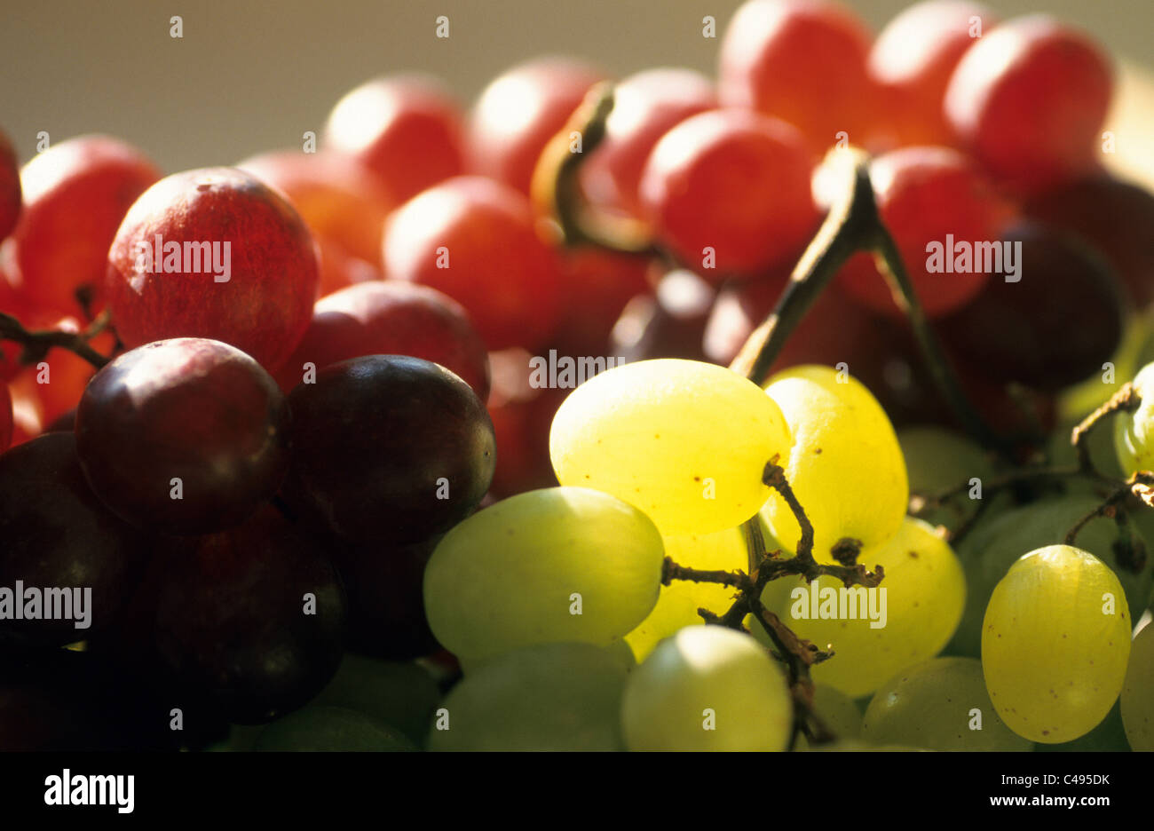 Raisins fruits nourriture Banque D'Images