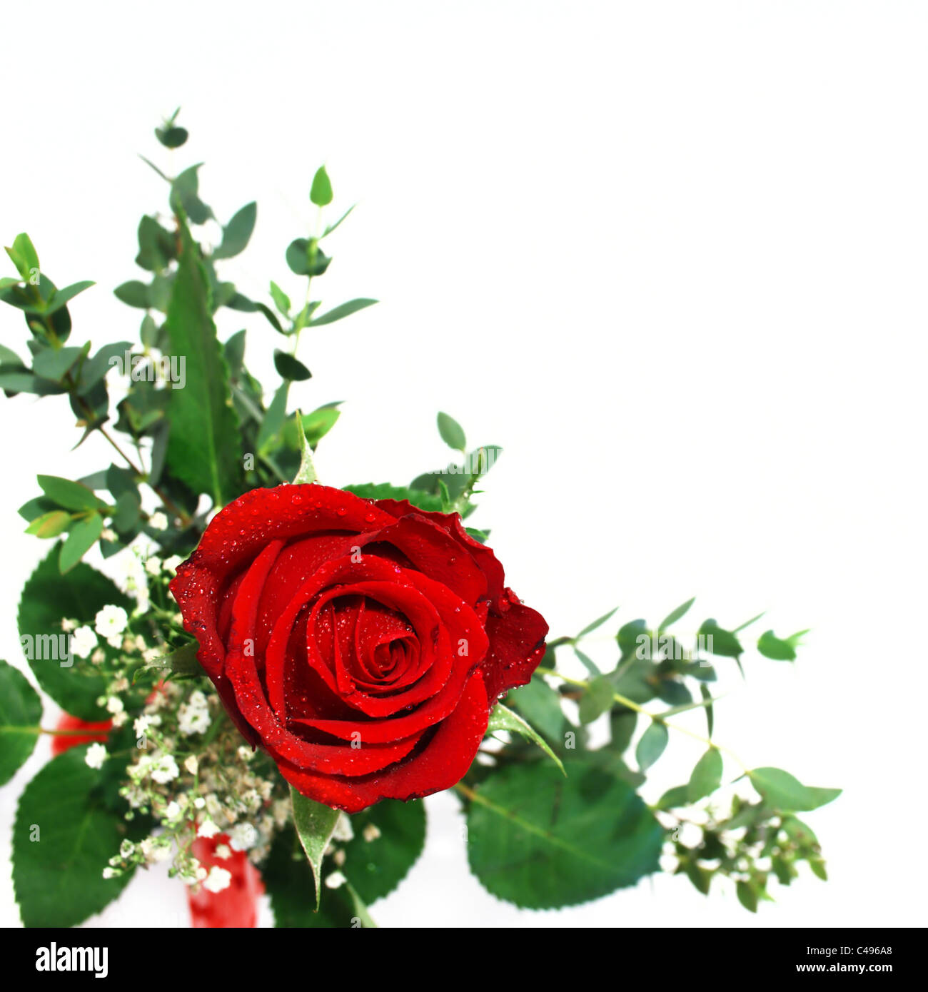 Plan En Titre Florale Roses Rouges Bouquet De Rose Rouge Banque d'image et photos - Alamy