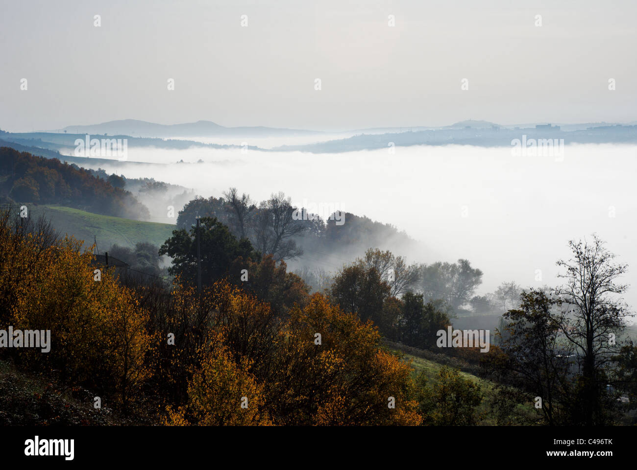 Paysage d'automne avec brouillard dans la vallée Banque D'Images