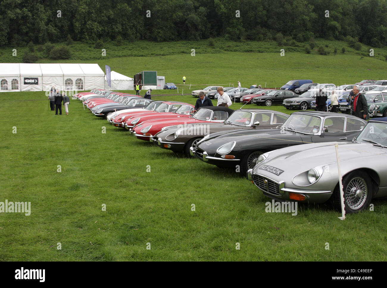 Une rangée de Jaguar E-Type C'est à l'honneur : 50'e anniversaire à Shelsley Walsh Hill Climb, Worcestershire, Angleterre, en juin 2011. Banque D'Images