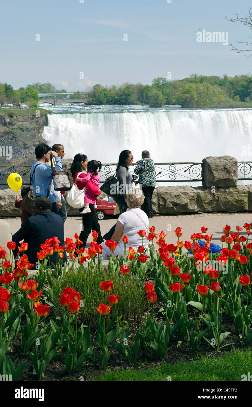 Niagara Falls (vue de côté) du Canada et des États-Unis, l'Ontario, Canada Banque D'Images