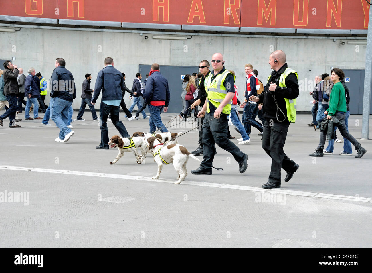Sniffer Dogs avec des maîtres d'chiens au stade Emirates, Arsenal football Club Banque D'Images