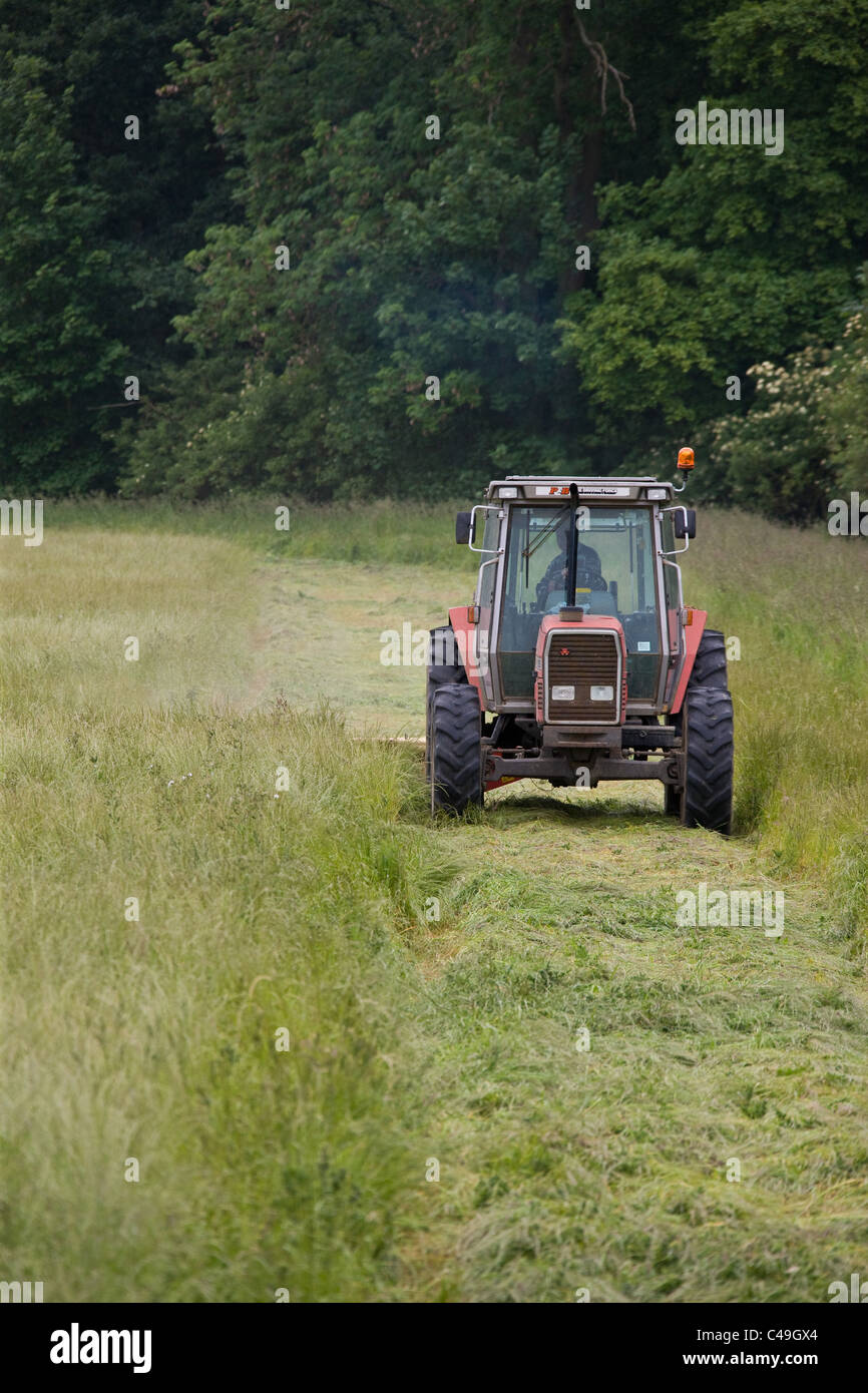 7.6.2011 Le fauchage du foin Banque D'Images
