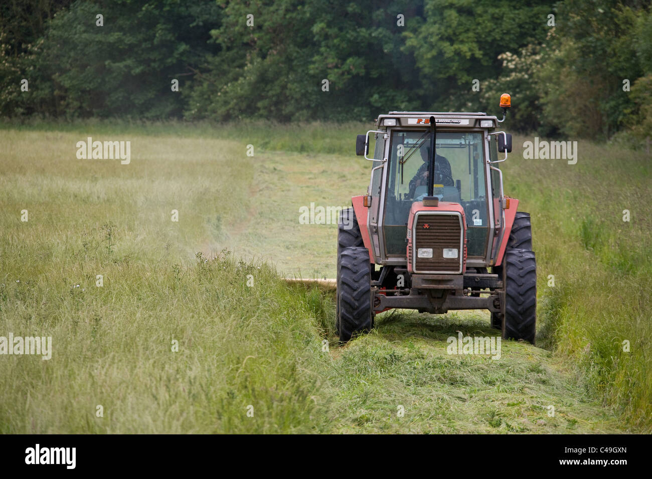 7.6.2011 Le fauchage du foin Banque D'Images