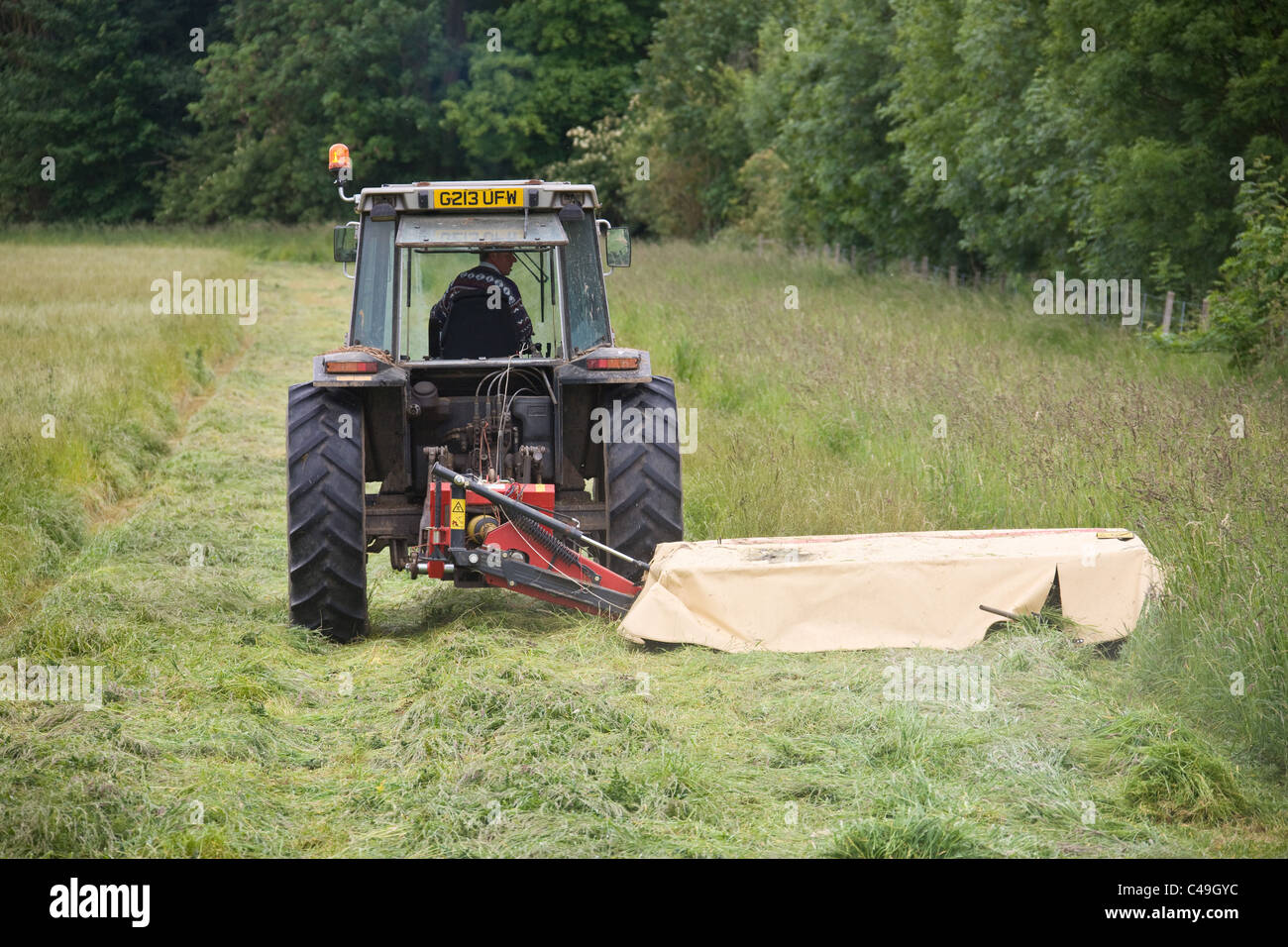 7.6.2011 Le fauchage du foin Banque D'Images