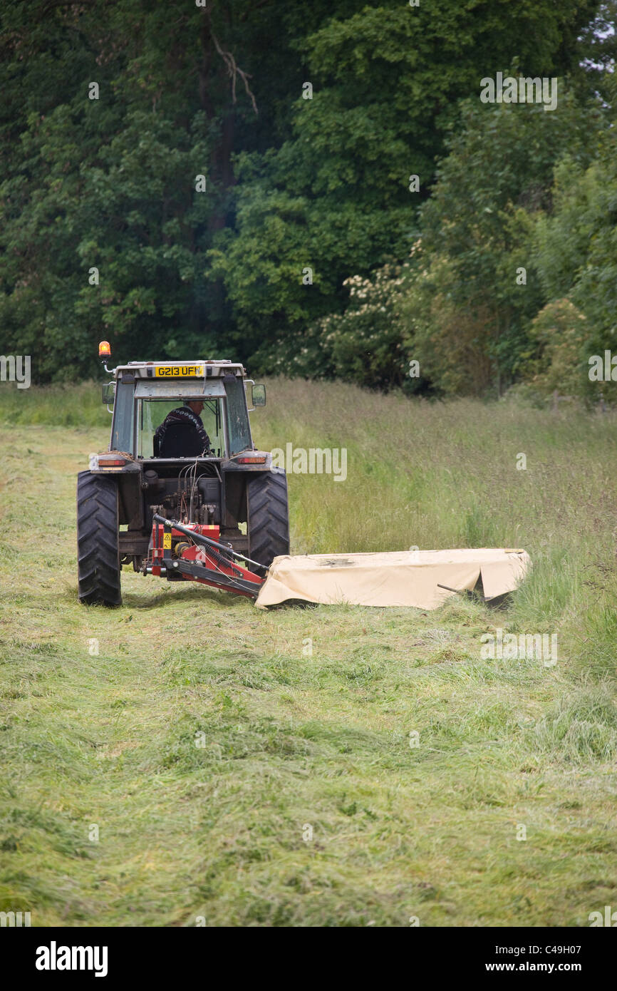 7.6.2011 Le fauchage du foin Banque D'Images