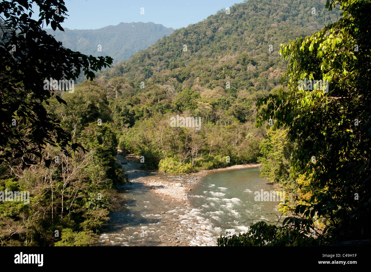 Hélas, la rivière Ketambe, parc national de Gunung Leuser, nord de Sumatra, Indonésie Banque D'Images