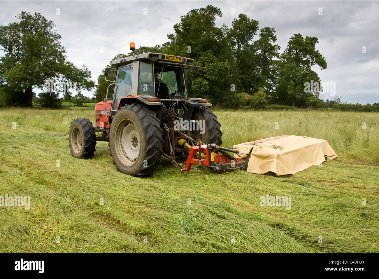 7.6.2011 Le fauchage du foin Banque D'Images