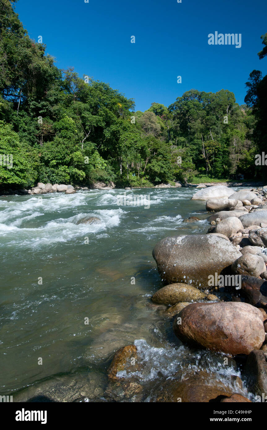 Hélas la rivière à Ketambe, parc national de Gunung Leuser, nord de Sumatra, Indonésie Banque D'Images