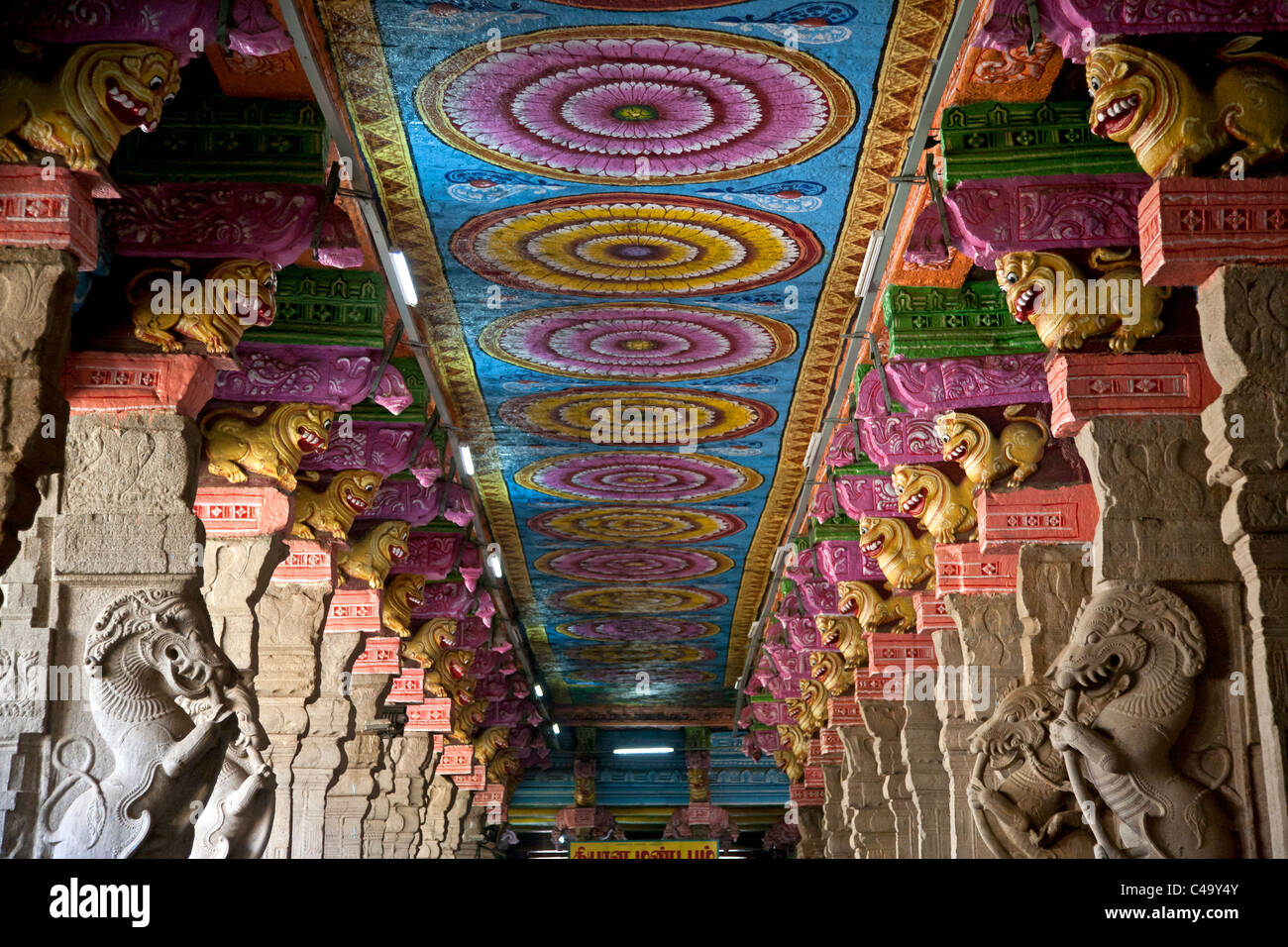 Détail du plafond. Sri Meenakshi Temple. Madurai. Tamil Nadu. L'Inde Banque D'Images