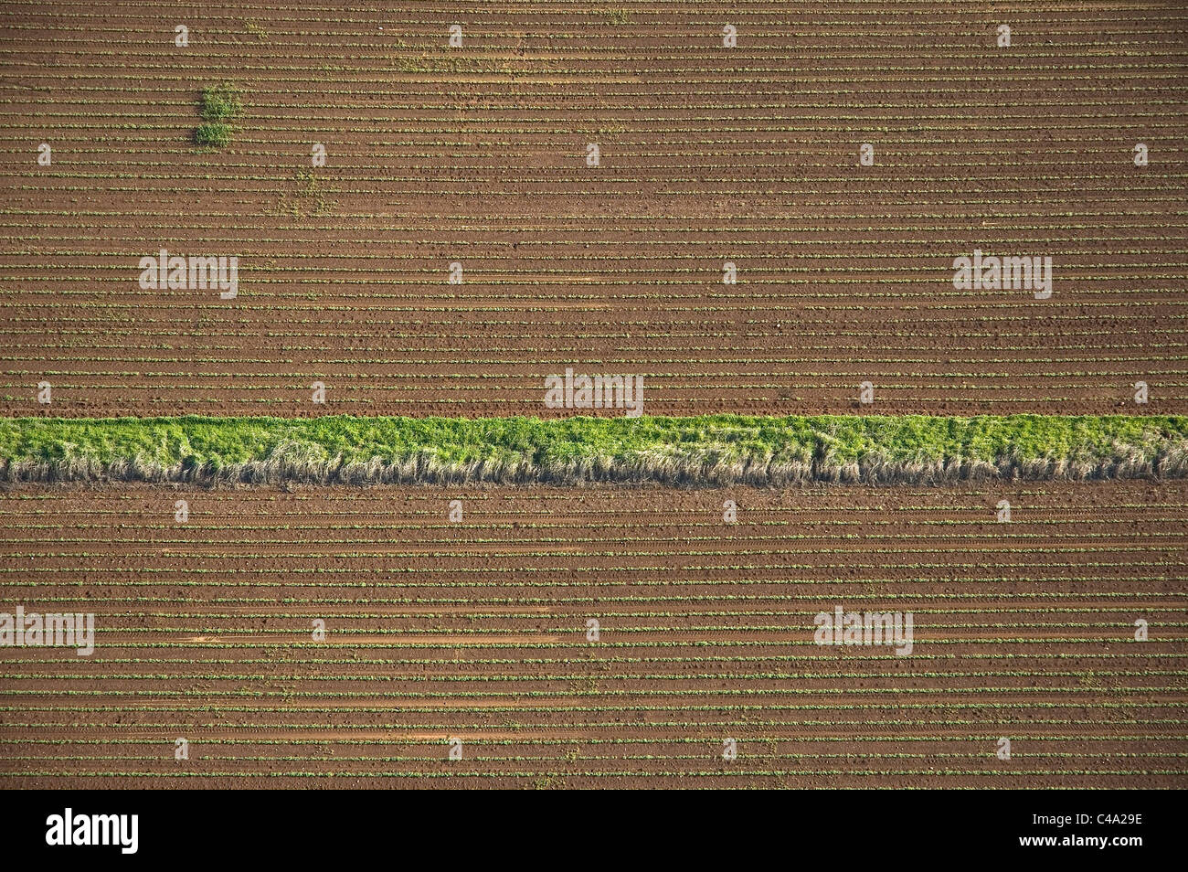 Photographie aérienne d'un champ de l'agriculture en Israël Banque D'Images